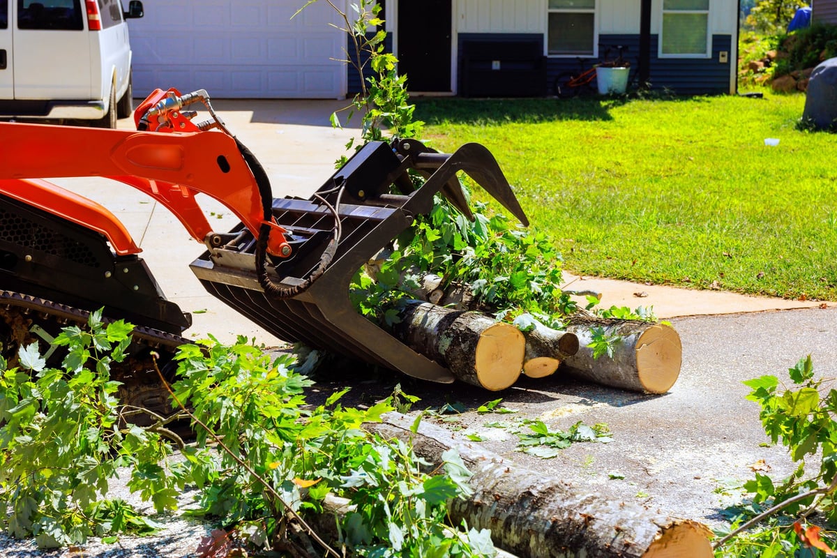 Yard Debris service by Redline Junk Removal